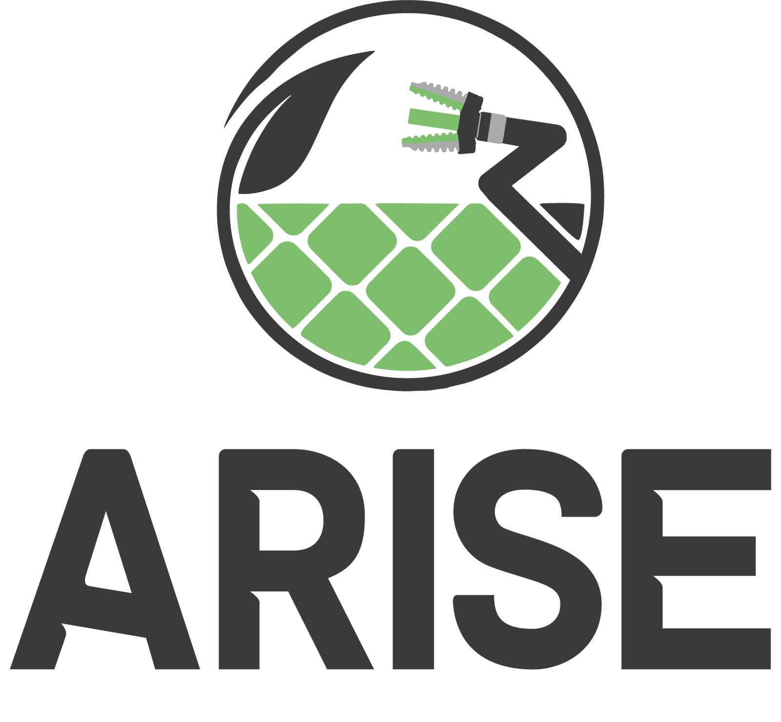 Project Logo