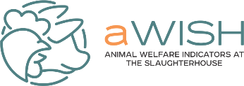 Project Logo
